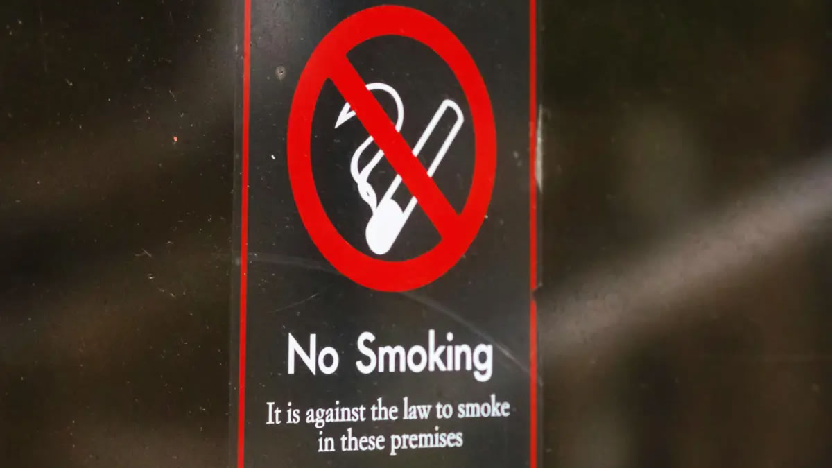 Germany Disposable Vape Ban