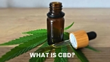 What is CBD: A Comprehensive Guide